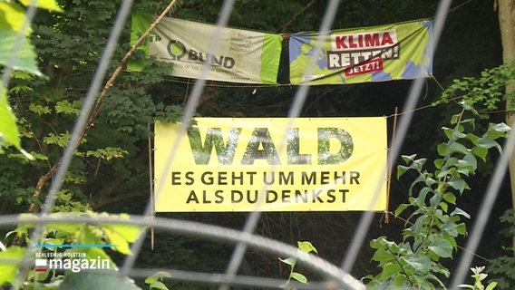 In einem Wald hängen Protestschilder gegen dessen Rodung. © Screenshot 