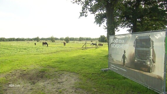 Eine Wiese, auf der der Sandabbau stattfinden soll © Screenshot 
