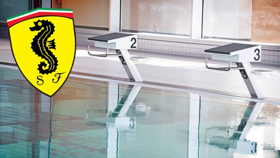 Das Schwimmabzeichen "Seepferdchen" in Ferrari-Optik. (extra 3 vom 10.08.2023 im Ersten) © NDR 