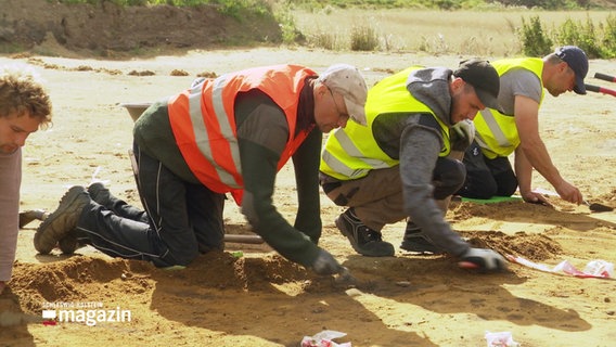 Vier Männer in Warnwesten knien oder hocken auf Sandboden und graben mit Werkzeugen vorsichtig darin. © Screenshot 