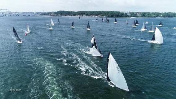 Aus der Vogelperspektive: Segelboote mit schwarzen Segeln und weißen Vorwindsegeln segeln eine Regatta auf der Kieler Förde. © Screenshot 