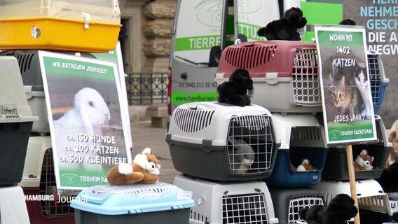 Käfige für Tiere stehen aus Protest vor dem Hamburger Rathaus. © Screenshot 