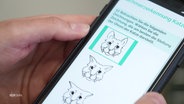 Verschiedene Mimiken einer Katze werden auf einem Smartphone angezeigt. © Screenshot 