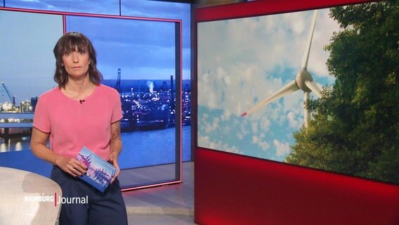 Theresa Pöhls moderiert Hamburg Journal 18.00. © Screenshot 