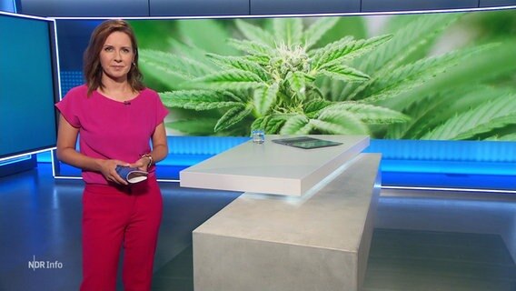 Romy Hiller moderiert NDR Info. © Screenshot 