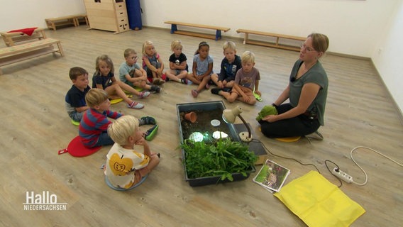 Erzieherin Vera Buddendieck sitzt mit Kindern auf dem Boden in einem Kreis und erklärt ihnen das Leben einer Schildkröte. © Screenshot 