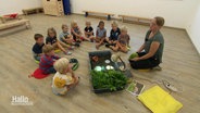 Erzieherin Vera Buddendieck sitzt mit Kindern auf dem Boden in einem Kreis und erklärt ihnen das Leben einer Schildkröte. © Screenshot 