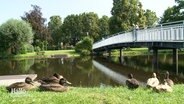 Eine Brücke über einem Fluß vom Ufer aus betrachtet. © Screenshot 