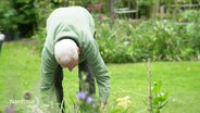 Ein Mann bei der Gartenarbeit. © Screenshot 