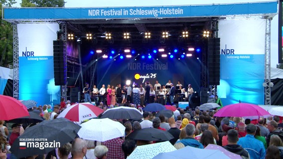 Die Bühne und das Publikum beim NDR Festivals in Bad Bramstedt. © Screenshot 