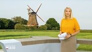 Alexandra Bauer moderiert Schleswig-Holstein 18:00. © Screenshot 