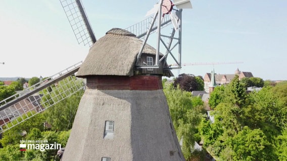 Die alte Windmühle "Moder Grau". © Screenshot 