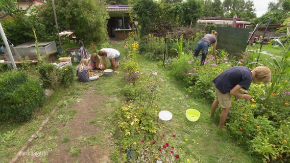 Eine Familie bei der Gartenarbeit in ihrem klimafesten Kleingarten in Rostock. © Screenshot 