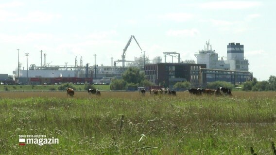 Ein LNG-Terminal direkt an der Elbe. © Screenshot 