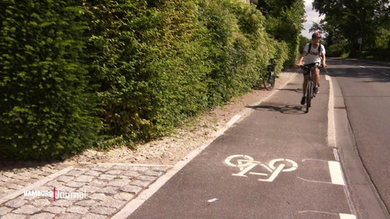 Ein Radfahrer fährt an einer Hecke entlang. © Screenshot 