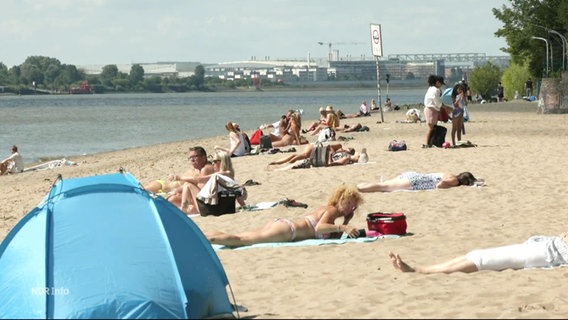 Menschen sonnen sich am Strand an der Elbe. © Screenshot 