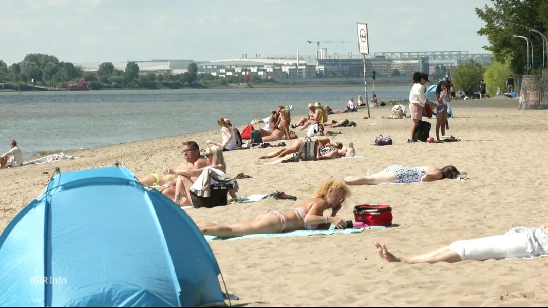 Menschen sonnen sich am Strand an der Elbe.