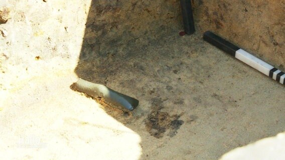 Ein Ausgrabungsstück liegt am Boden einer Ausgrabungsstätte. © Screenshot 