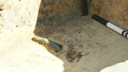 Ein Ausgrabungsstück liegt am Boden einer Ausgrabungsstätte. © Screenshot 