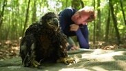 Ein junger Seeadler auf einer Decke, im Hintergrund sitzt Thilo Tautz. © Screenshot 