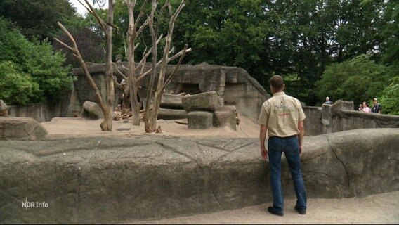 Ein Mitarbeiter des Zoos Hagenbeck steht vor einem Gehege. © Screenshot 