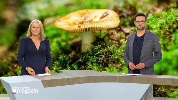 Harriet Heise und Christopher Scheffelmeier moderieren das Schleswig-Holstein Magazin am 27.08.2023. © Screenshot 