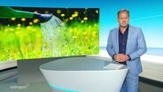 Thilo Tautz moderiert das Nordmagazin - Land und Leute. © Screenshot 