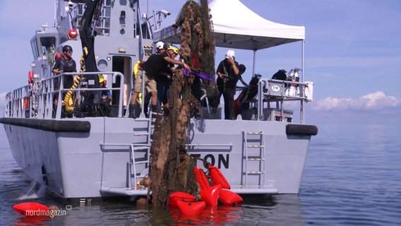 Aktivisten der Sea Shepherd  bergen ein Geisternetz auf hoher See. © Screenshot 