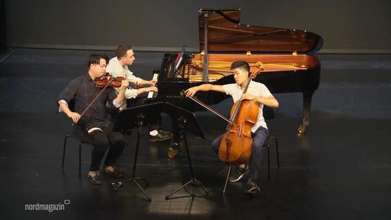 Drei Musiker bei der Konzertreihe "Spielende Insel". © Screenshot 