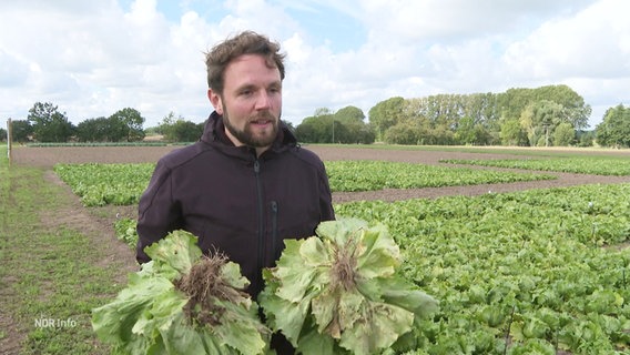 Ein Mann af einem Feld hält zwei Salatköpfe in den Händen. © Screenshot 