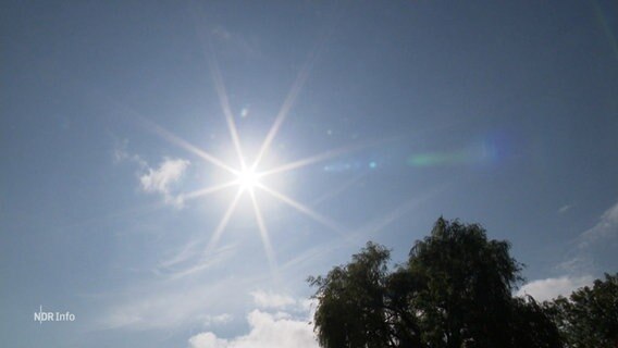 Die Sonne scheint an einem blauen Himmel. © Screenshot 