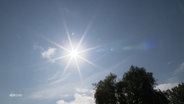Die Sonne scheint an einem blauen Himmel. © Screenshot 