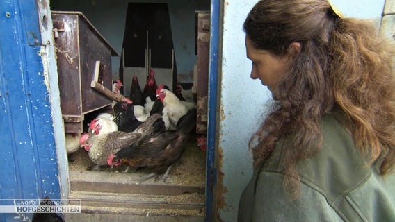 Geflügelbäuerin Christine Bremer schaut in einen von ihren mobilen Ställen. Hühner hüpfen heraus, weil sie die Tür geöffnet hat. © Screenshot 