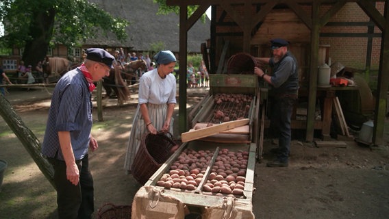 Drei Menschen in altertümlichen Klamotten sortieren Kartoffeln nach ihrer Größe. © Screenshot 