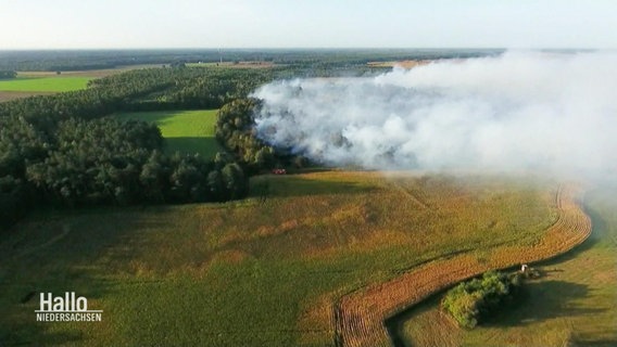 Moorbrand im Emsland 2018 aus der Luft © Screenshot 