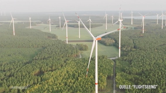 Windräder stehen in einem Waldgebiet. © Screenshot 