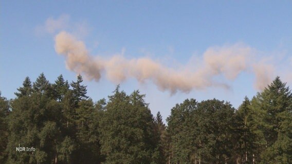 Eine Kalkwolke über einem Wald. © Screenshot 
