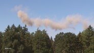 Eine Kalkwolke über einem Wald. © Screenshot 