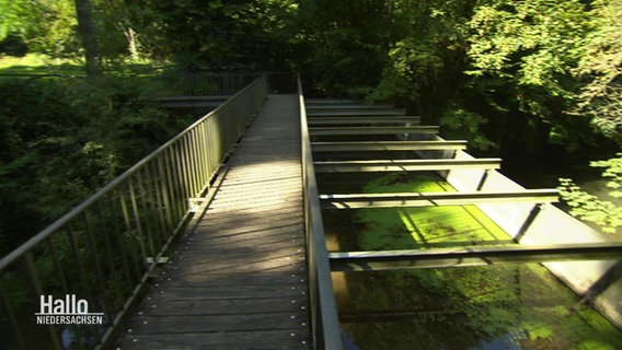 Eine Fußgängerbrücke führt über einen Wasserlauf. © Screenshot 