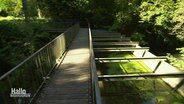 Eine Fußgängerbrücke führt über einen Wasserlauf. © Screenshot 