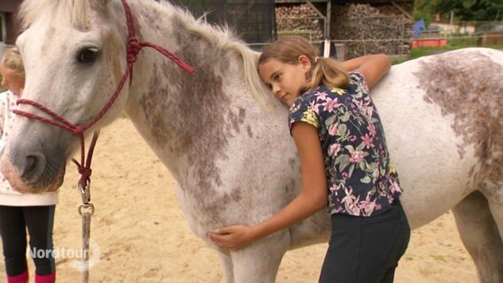 Ein Mädchen kuschelt ein Pferd. © Screenshot 
