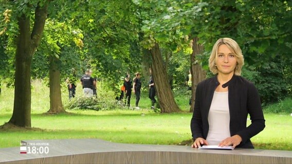 Maire-Luise Bram moderiert die Frühausgabe Schleswig-Holstein Magazin. © Screenshot 