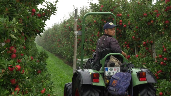 Landwirt fährt in seiner Erntemaschine zur Apfelernte durch die Plantage. © Screenshot 