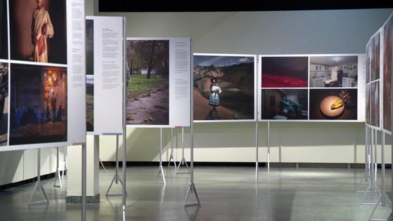 Ausstellung im Altonaer Museum zeigt internationale Pressefotos. © Screenshot 