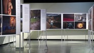 Ausstellung im Altonaer Museum zeigt internationale Pressefotos. © Screenshot 