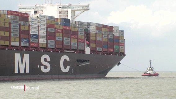 Ein Containerschiff und ein Schlepper. Auf dem Containerschiff steht groß MSC. © Screenshot 