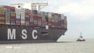 Ein Containerschiff und ein Schlepper. Auf dem Containerschiff steht groß MSC. © Screenshot 