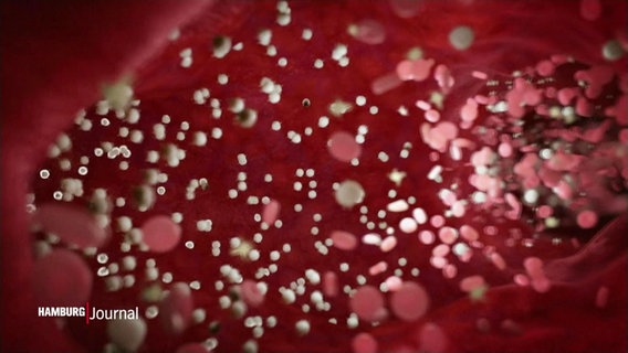 Eine grafische Darstellung von Blut mit vielen kleinen Körpern in einem roten Tunnel. © Screenshot 