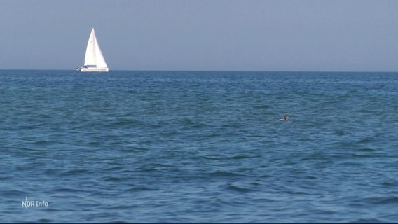 Ein Segelboot auf dem Meer. © Screenshot 