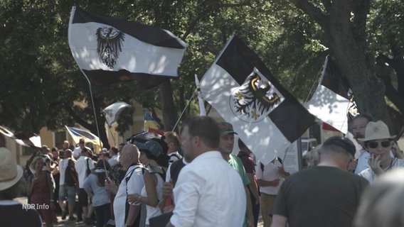 Anhänger der Reichsbürgerbewegung schwenken "Reichsflaggen". © Screenshot 